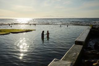 Algues en piscine naturelle : causes et solutions efficaces