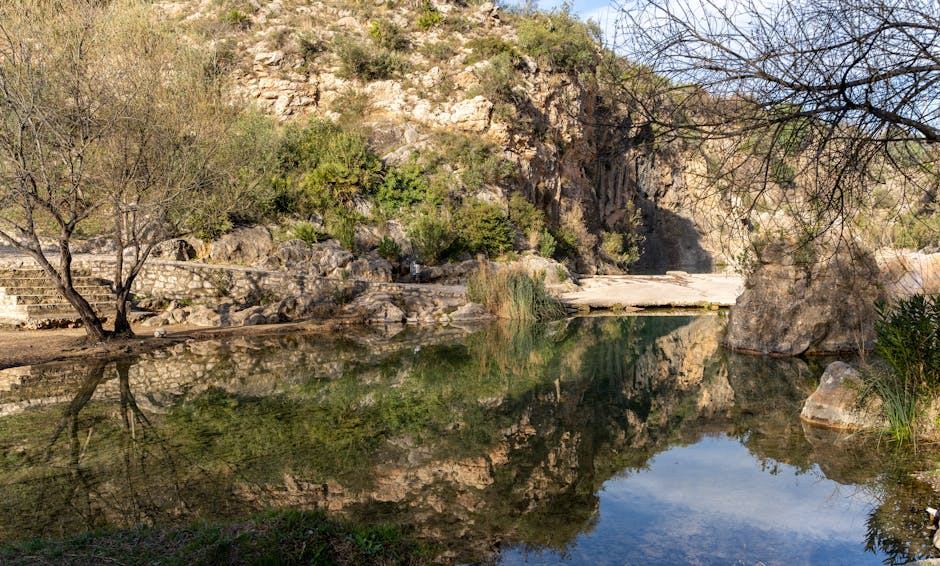 Construction d'un étang de baignade naturel : guide pratique