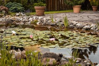 Bassin de baignade : profondeur, surface et conception