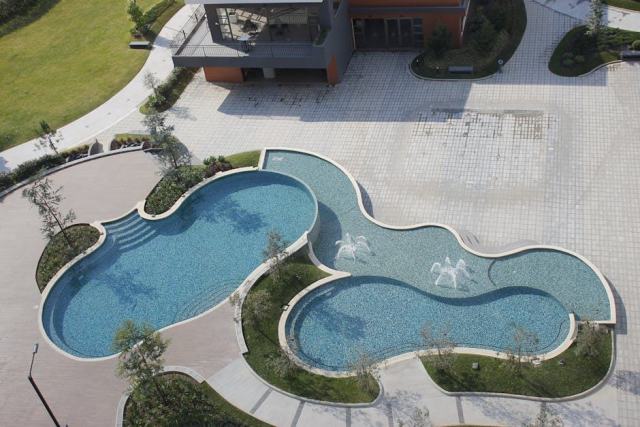 Guide pour créer une piscine naturelle : toutes les étapes du projet