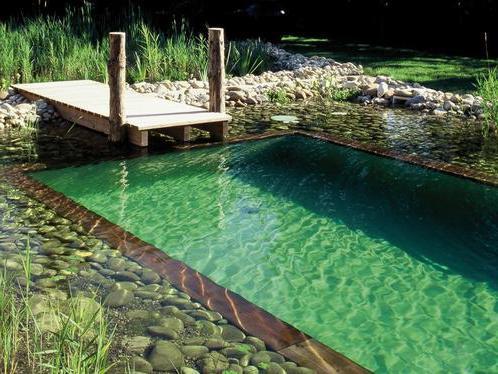 piscine naturelle