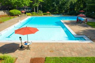 Plantes filtrantes piscine naturelle : choix et plantation