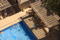 Avis et témoignages sur les piscines naturelles