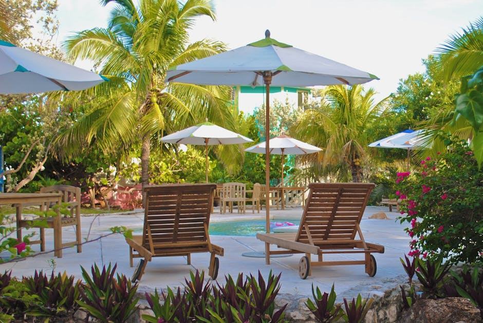Piscine naturelle et écologie : vrais avantages et vraies limites