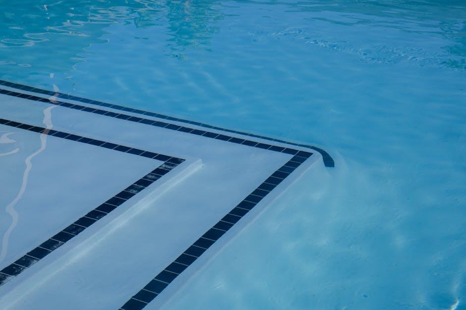 Fonctionnement piscine naturelle : lagunage et filtration