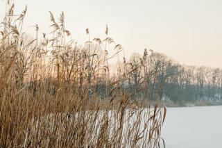 Gel et hivernage : une baignade naturelle ne s'hiverne pas
