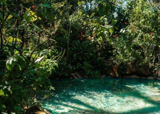 Mise en eau piscine naturelle et premières semaines de baignade